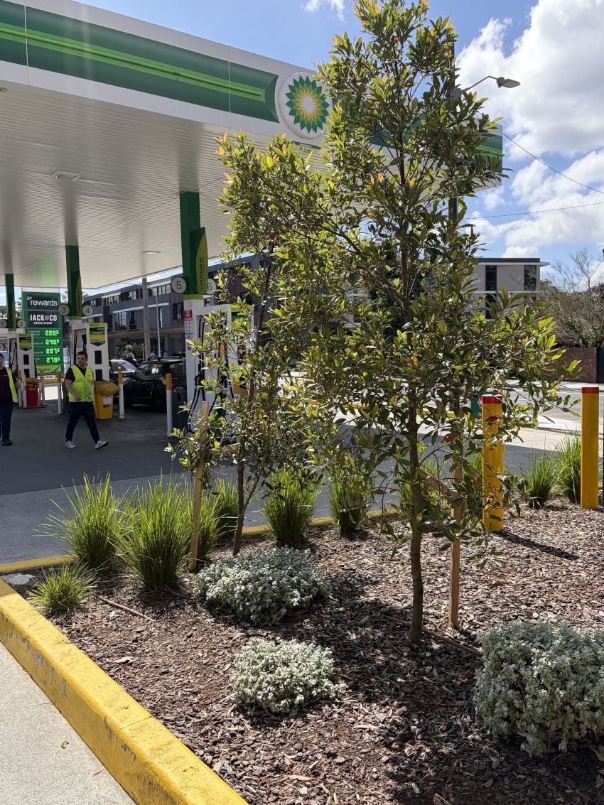 Convenience Outlet, BP Longueville convenience outlet, bp longueville